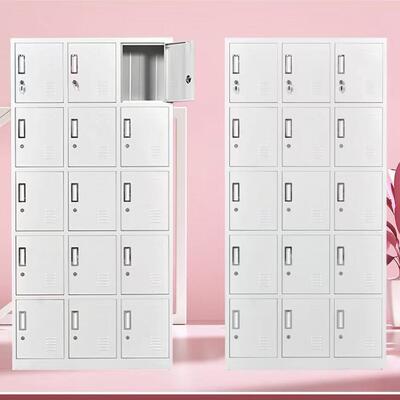 15 Door Steel Employee Locker Cabinet for Staff Changing Rooms and Personal Storage